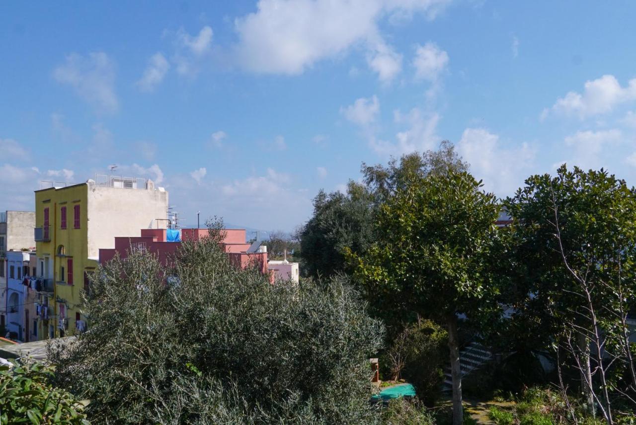 Stella Marina Apartments Procida Luaran gambar
